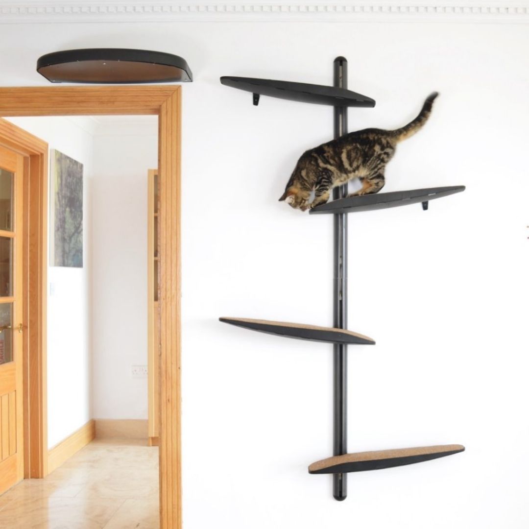 Wall-Mounted Cat Furniture