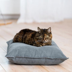 Luxury Divan Uno Cat Bed