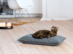 Luxury Divan Uno Cat Bed