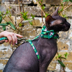 Combs Vegan Cat Harness