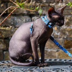 Eyes Vegan Breakaway Cat Collar