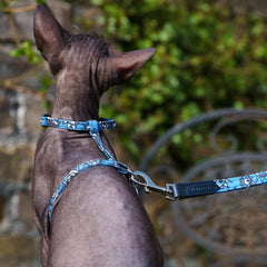 Eyes Vegan Cat Harness