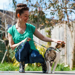 Combs Vegan Breakaway Cat Collar