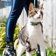 Combs Vegan Breakaway Cat Collar