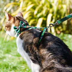 Combs Vegan Cat Harness