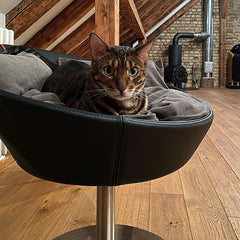 Luxury Cosmo Faux Leather Cat Bed