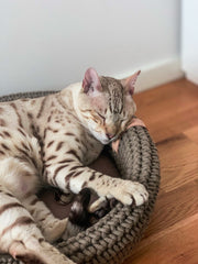 Coco Cat Bed Light Brown by Labbvenn