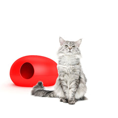 Luxury Red Poopoopeedo Cat Litter Box