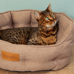 Seattle Cat Bed - Sienna Brown