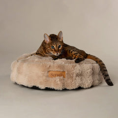 Alpine Cat Bed - Champagne
