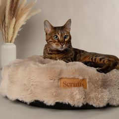 Alpine Cat Bed - Champagne