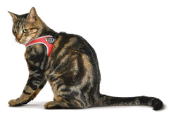9tM6RMxATre Ponti Easy Fit Liberta Red Cat Harness with No Escape Adjustable Closure