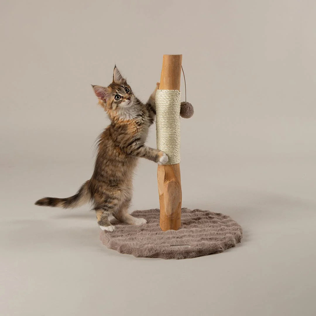 Alpine Andes 'My First' Cat Scratching Post - Taupe