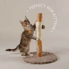 Alpine Andes 'My First' Cat Scratching Post - Taupe