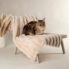 Aspen Cat Blanket - Cream 3