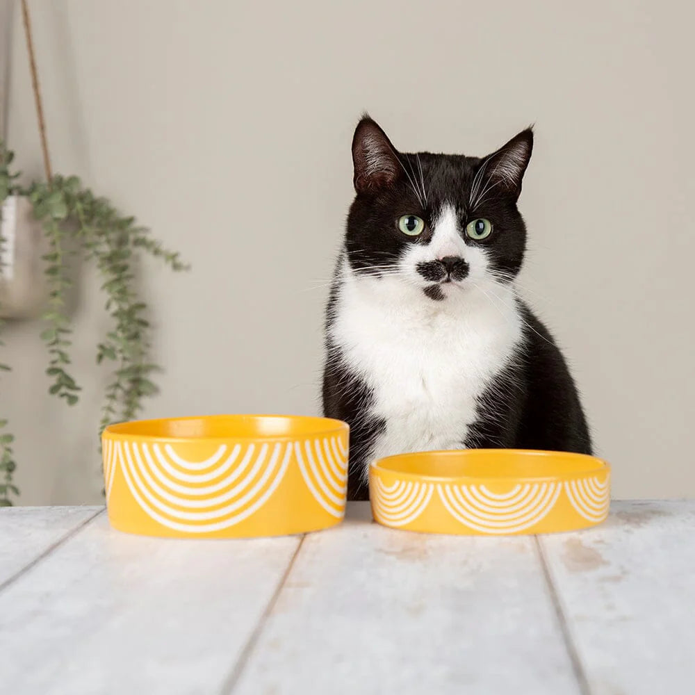 Aztec 2 Piece Cat Food Bowl & Saucer Set - Sunflower Yellow