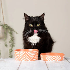Aztec 2 Piece Cat Food Bowl & Saucer Set - Terracotta Orange