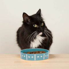 Aztec 2 Piece Cat Food Bowl & Saucer Set - Turquoise Blue