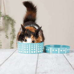 Aztec 2 Piece Cat Food Bowl & Saucer Set - Turquoise Blue