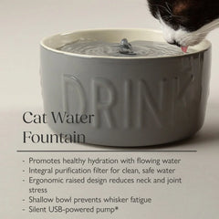 Classic Cat Water Fountain 20cm - Grey
