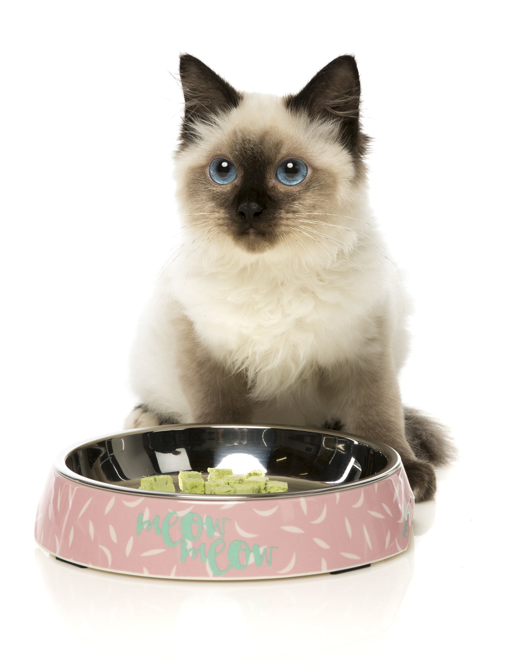 FuzzYard Featherstorm Cat Feeding Bowl