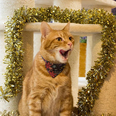Christmas Snowflakes Cat Bandana 2