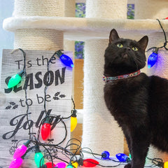 Christmas Snowflakes Cat Collar 2