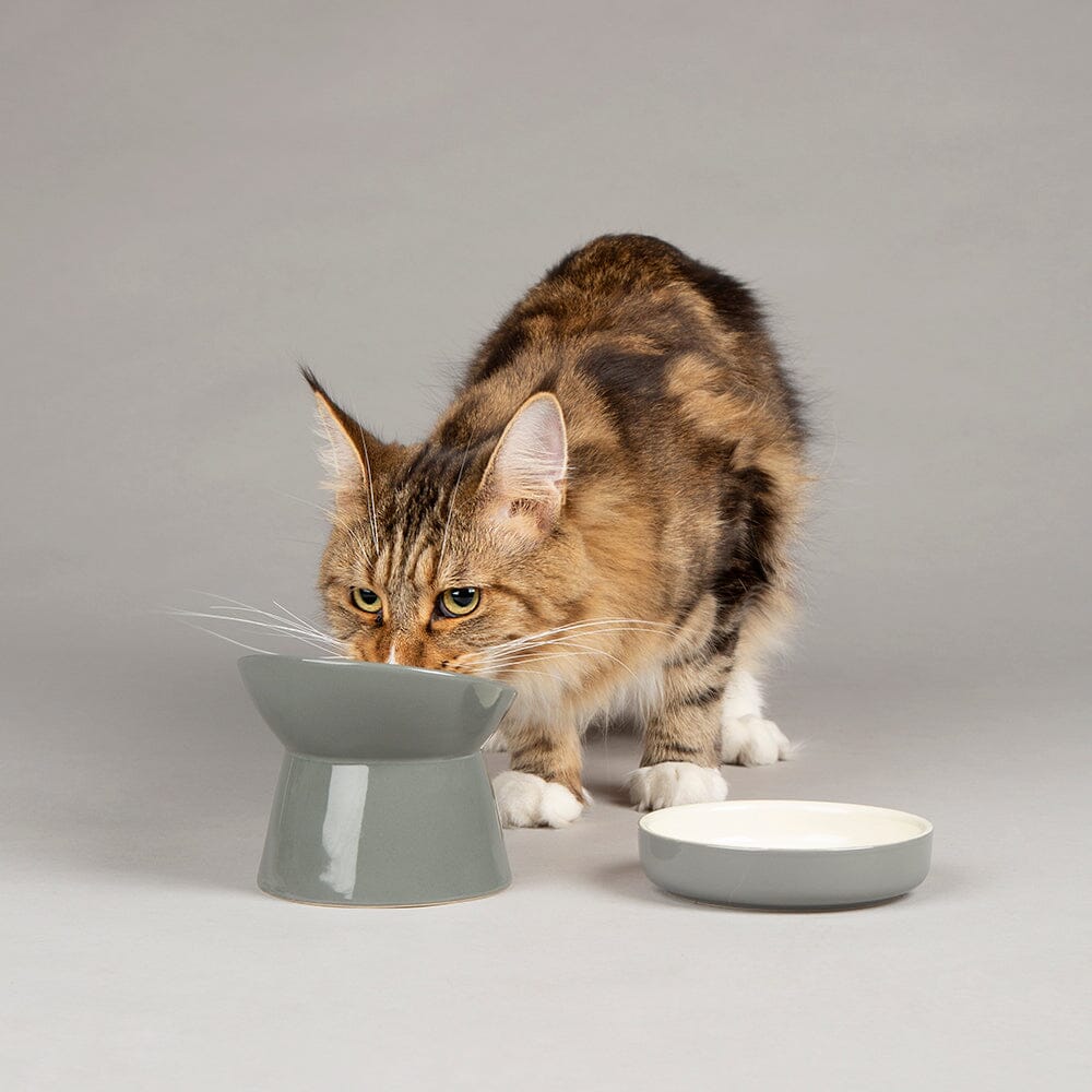 Classic Raised Cat Feeder Bowl & Saucer Set - Grey