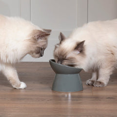 Classic Raised Cat Feeder Bowl & Saucer Set - Grey