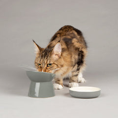 Classic Raised Cat Feeder Bowl & Saucer Set - Grey