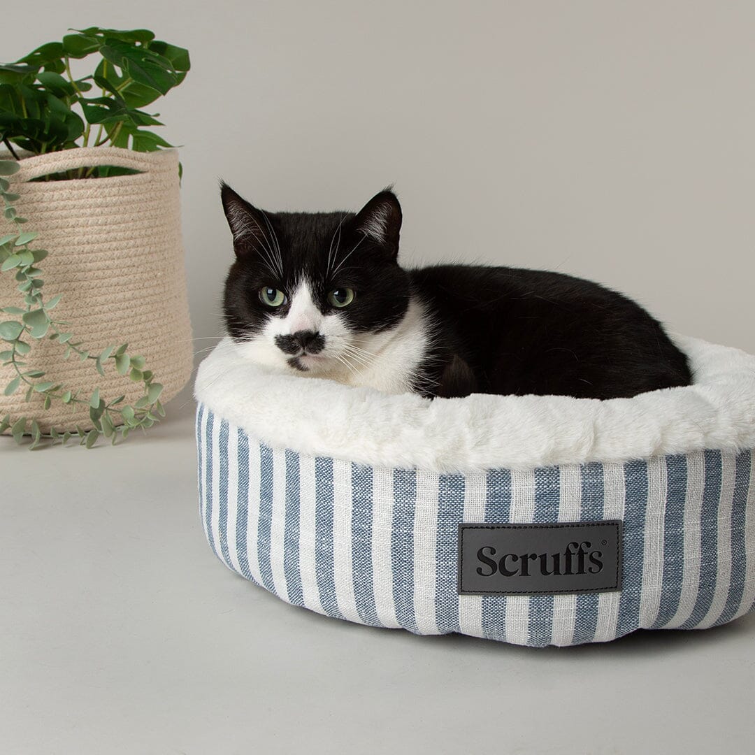 Coastal Stripe Cat Bed - Blue