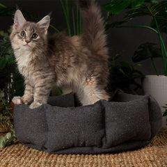 Eden 100% Recycled Cat Bed - Charcoal Grey