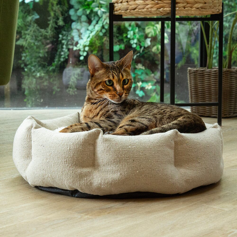 Eden 100% Recycled Cat Bed - Cream