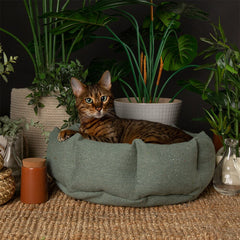 Eden 100% Recycled Cat Bed - Sage Green