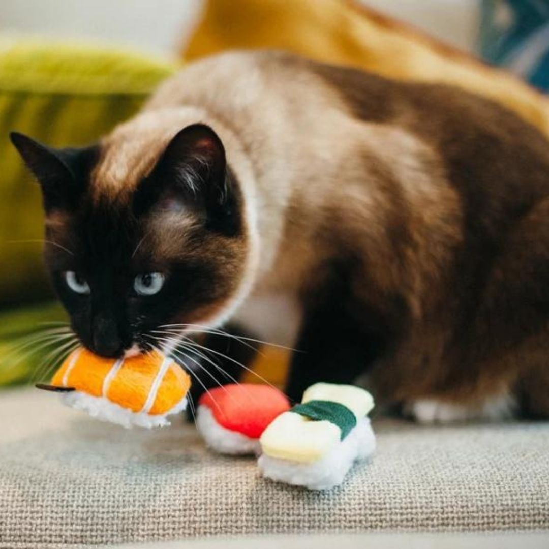 Feline Frenzy Sushi Cat Toy Set of 3 3