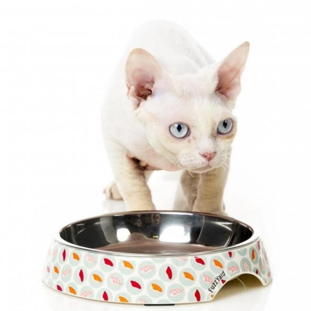 FuzzYard Sushi Cat Feeding Bowl