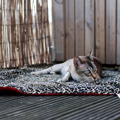 Leopard with Red Fleece Padded Cat Blanket by Creature Clothes