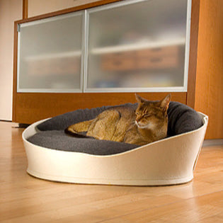 Luxury Arena Felt Fleece Cat Bed Cream Graphite