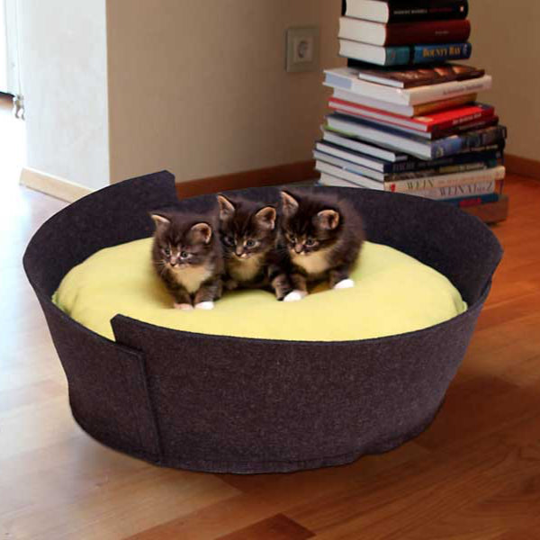 Luxury Lido Felt Cat Bed Black green