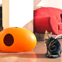 Luxury Orange Poopoopeedo Cat Litter Box 3