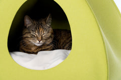 Luxury Pina Felt Cat Cave Bed