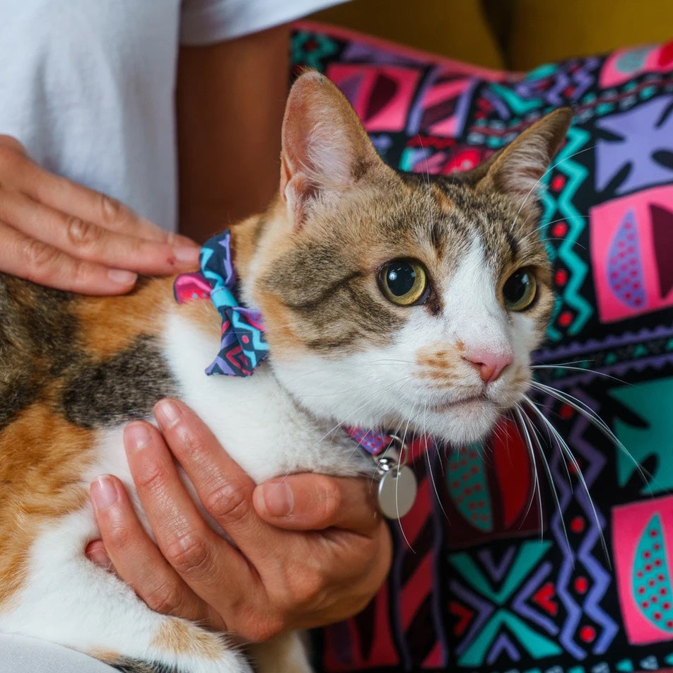 Mud Cloth Cat Bow Tie 4