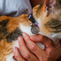 Mud Cloth Vegan Breakaway Cat Collar 2