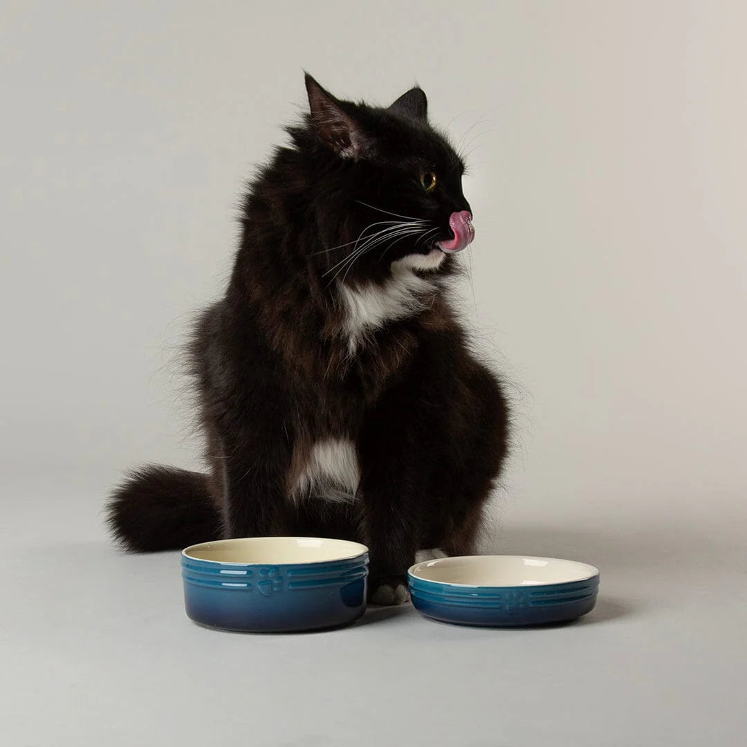 Ombre 2 Piece Cat Food Bowl & Saucer Set - Blue
