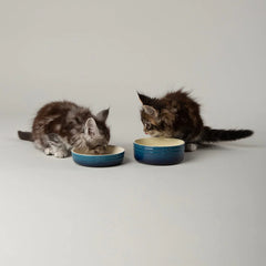 Ombre 2 Piece Cat Food Bowl & Saucer Set - Blue