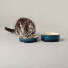 Ombre 2 Piece Cat Food Bowl & Saucer Set - Blue