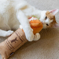 PLAY Feline Frenzy Kicker Tuna Baguette Cat Toy 2