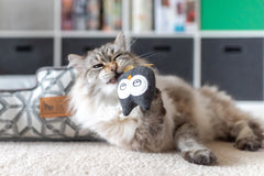 PLAY Feline Frenzy Hooti-ful Owls Catnip Toys