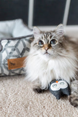 PLAY Feline Frenzy Hooti-ful Owls Catnip Toys