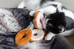 PLAY Feline Frenzy Kitty Kreme Donuts
